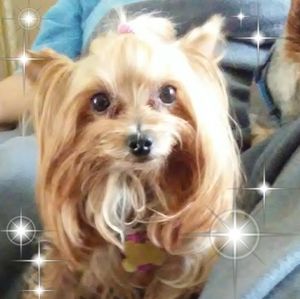 Meet your Posher, Virginia